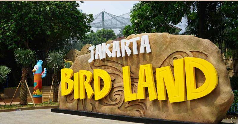 ancol.com