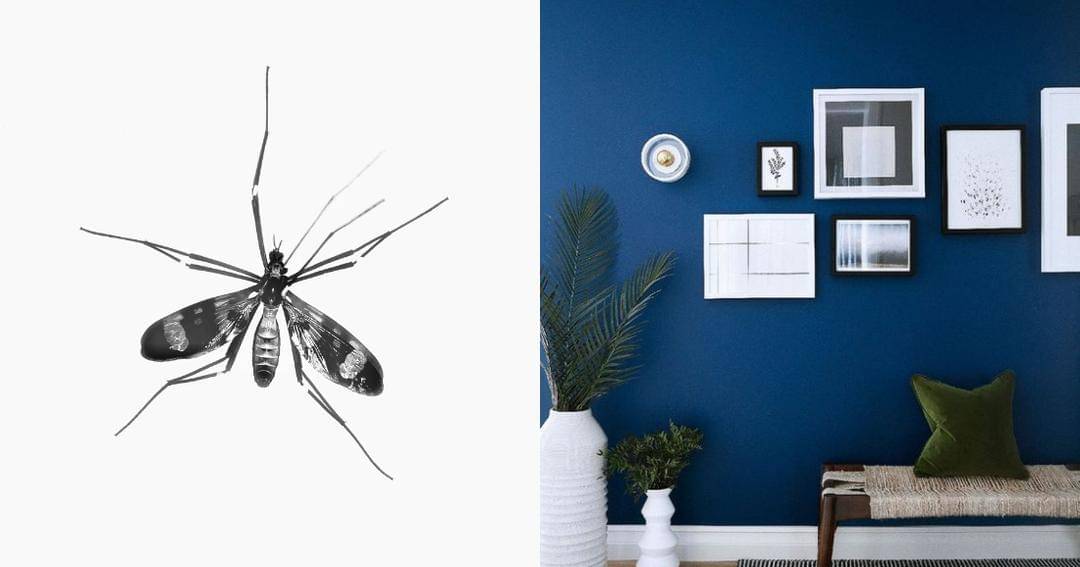 Unsplash/Yogesh Pedamkar/Pinterest.com/