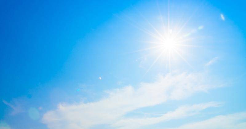 Freepik/lifeforstock