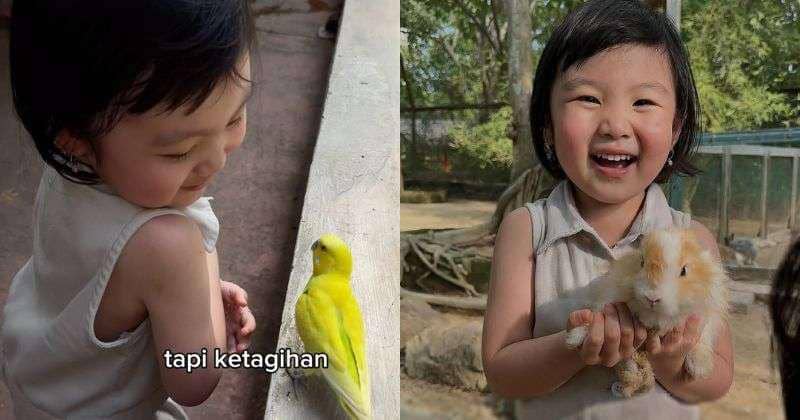 Tips Ajarkan Anak Tidak Takut Hewan seperti Tiktoker Cilik Nala