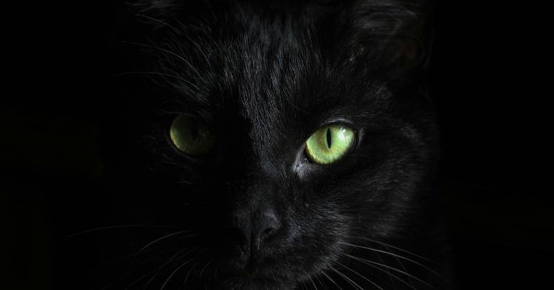 Unsplash/Hannah Troupe