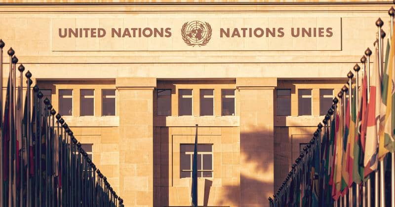 Unsplash/Jonathan Ansel Moy de Vitry