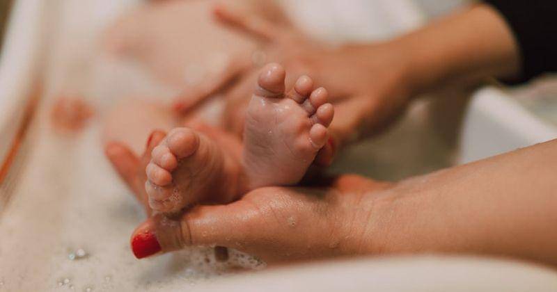 Pexels/RDNE Stock project