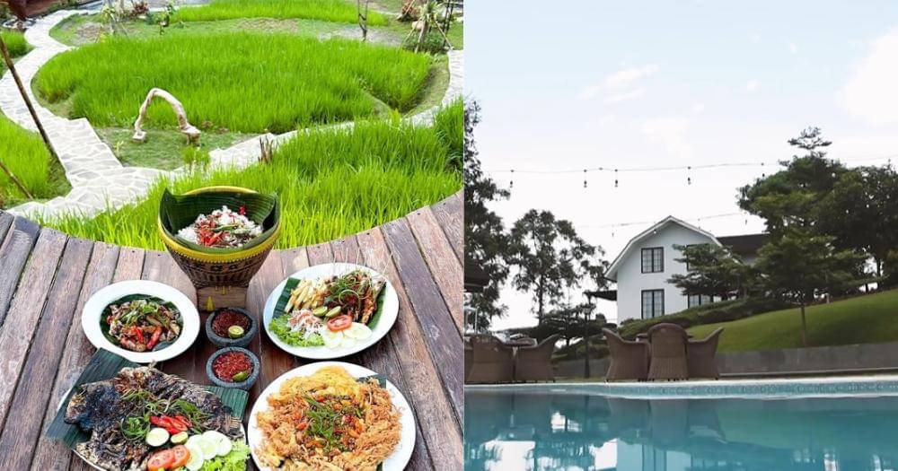 Instagram.com/sawahsegarsentul/richiegarden