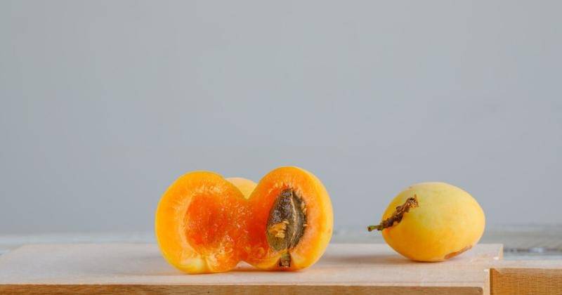 Aprikot buah yang bagus untuk ibu hamil - freepik/8photo