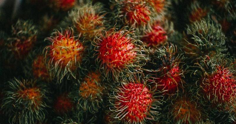 Unsplash/JoyceRomero