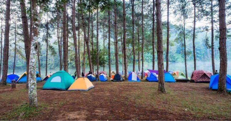 7 Spot Camping di Sentul, Healing dengan Pemandangan Alam