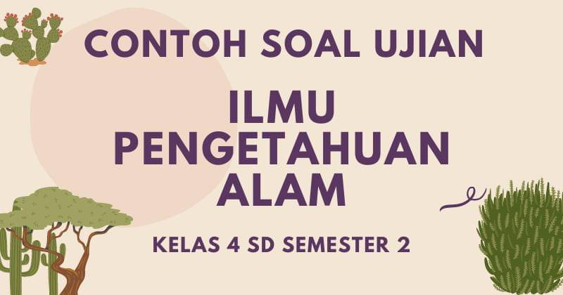 Popmama.com/abigailjunuslie