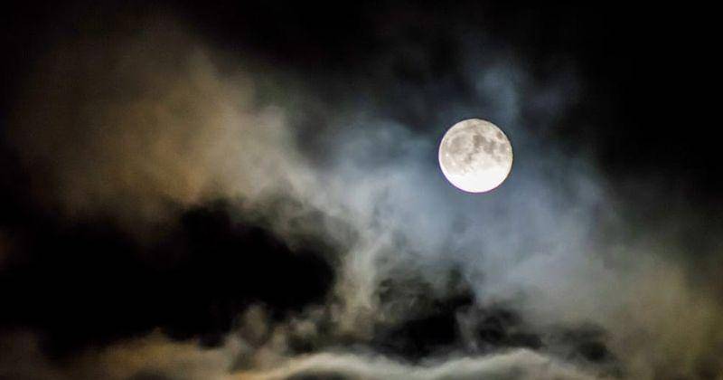 Pexels/Joonas kääriäinen