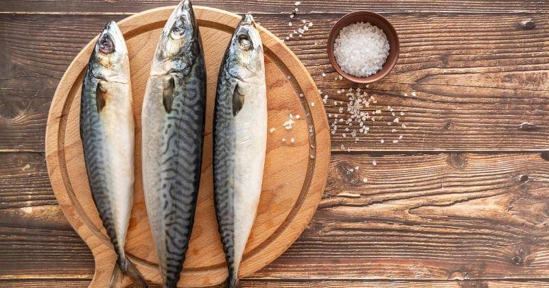 Ikan makarel - Freepik