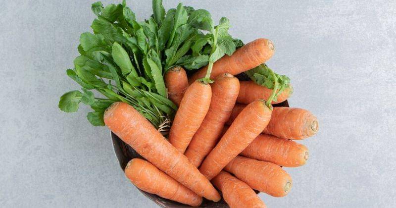 Freepik/azerbaijan_stockers