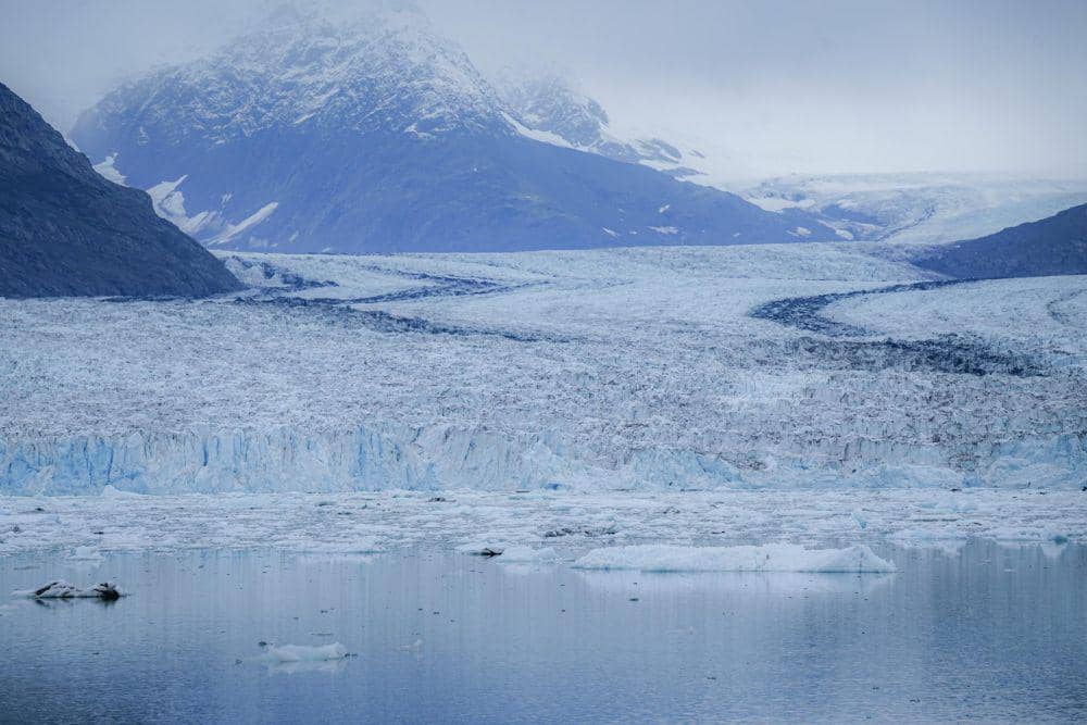 Antarctic Ice Marathon 2027 Dibuka, Suhu Bisa Capai -20 Derajat!