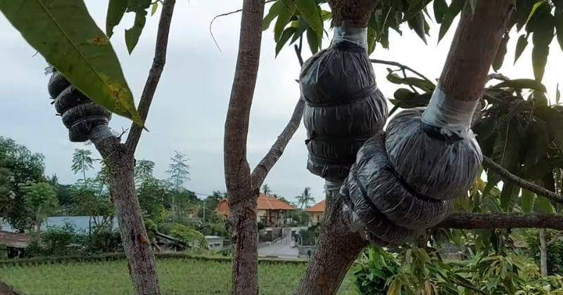 Youtube.com/Mahali Martina