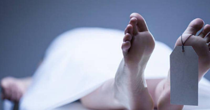 Pexels/AntonMassalov