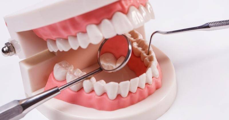 Freepik/Racool_studio