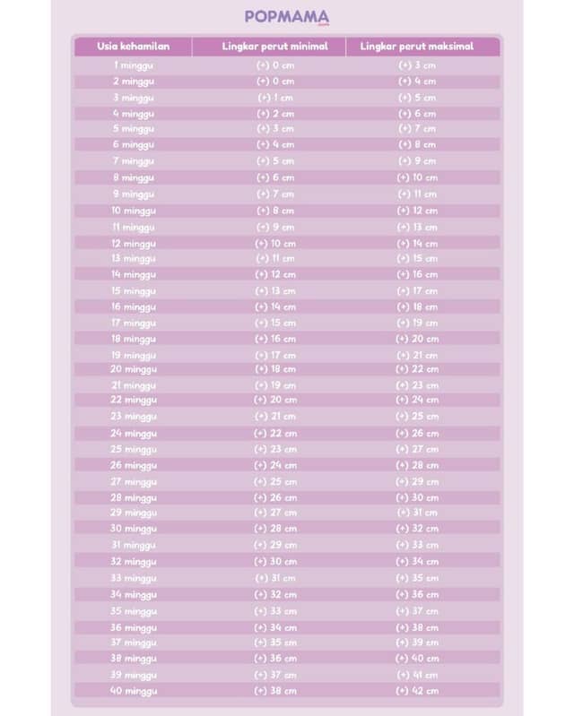 Tabel Ukuran Perut Ibu Hamil sesuai Usia Kehamilan | Popmama.com