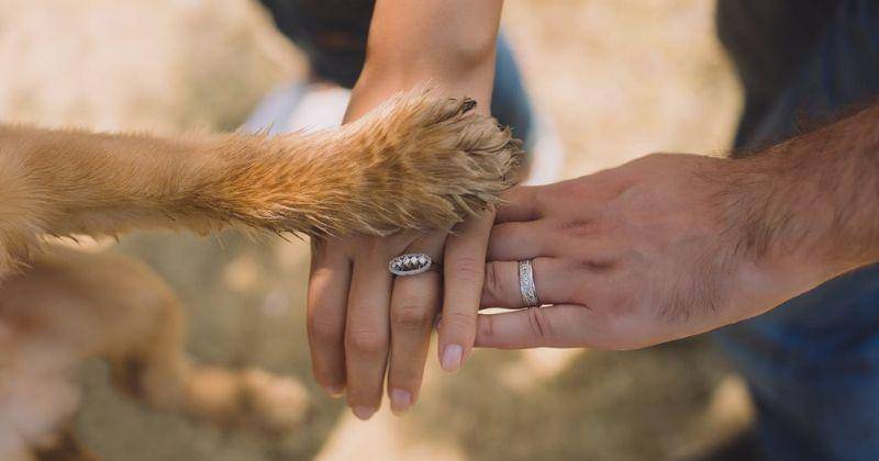 Pexels/Anastasiya Lobanovskaya