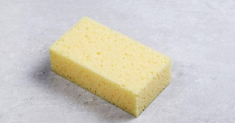 Freepik/Racool_studio