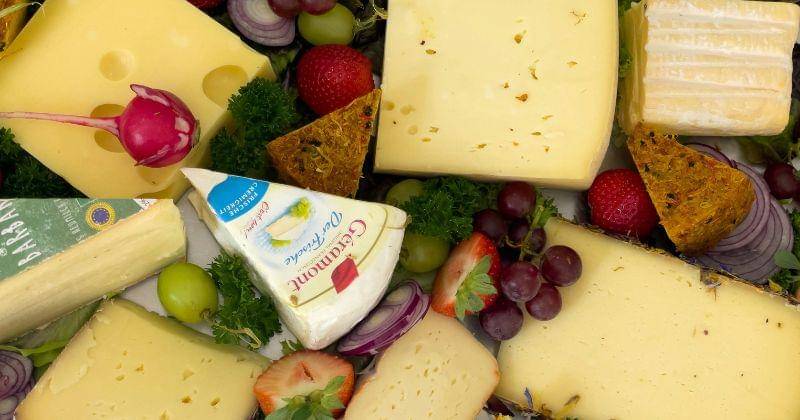 unsplash/bernd dittrich