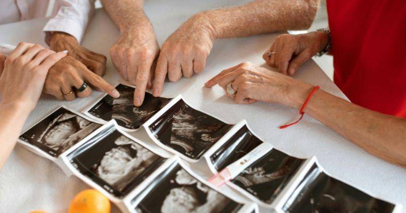 Pexels/RDNE stock project