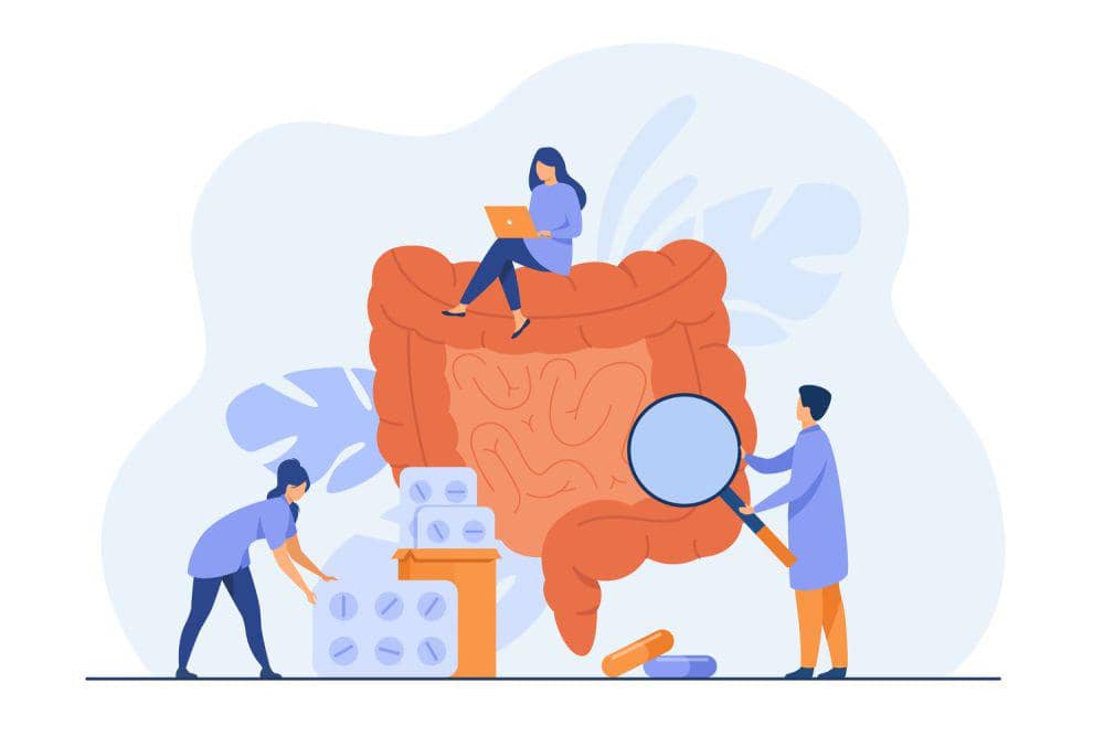 ilustrasi proses organ pencernaan