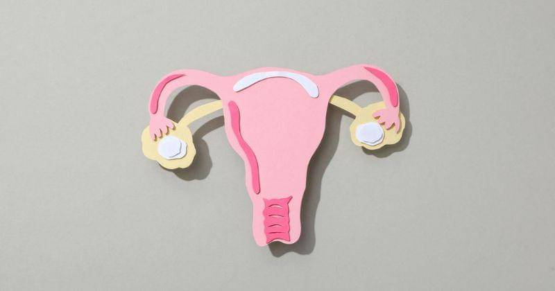 Freepik/atlascompany