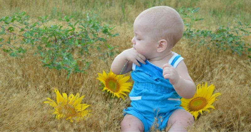 Pexels/LyudmilaLogvinenko