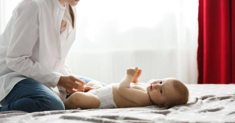 freepik/cookie_studio