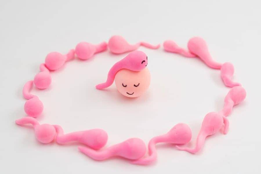 ilustrasi sperma dan sel telur (freepik.com/freepik)