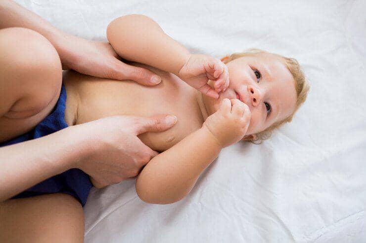 Payudara, puting, dan area genital