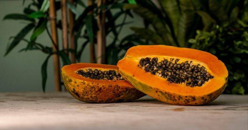 unsplash/debora cardenas