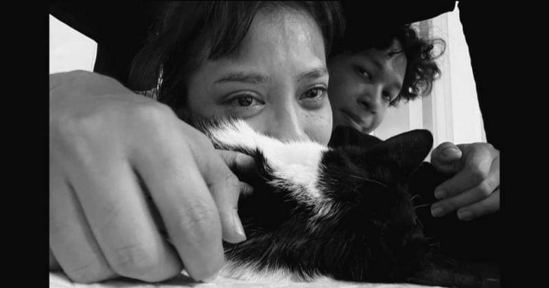 Instagram.com/meidianatahir