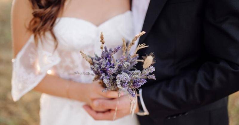 Freepik/bristekjegor