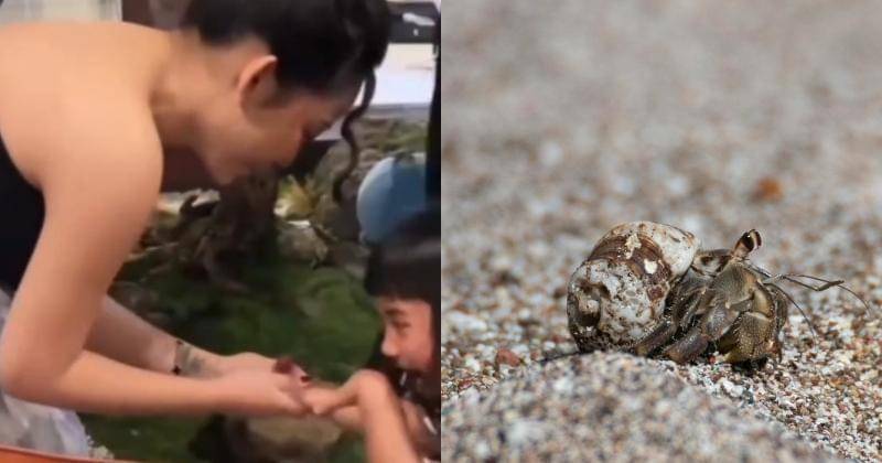 Instagram.com/rachelvennya | Pexels/Samuel Sweet