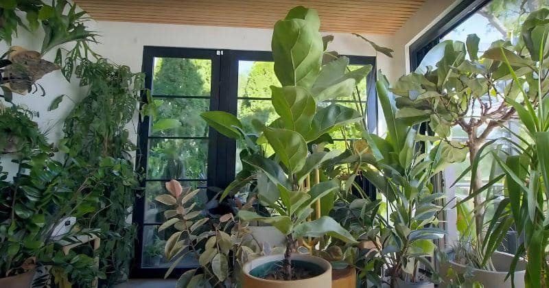 Youtube.com/theplantstylist