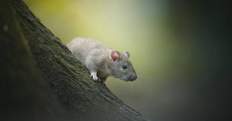 Unsplash/Daniil Komov