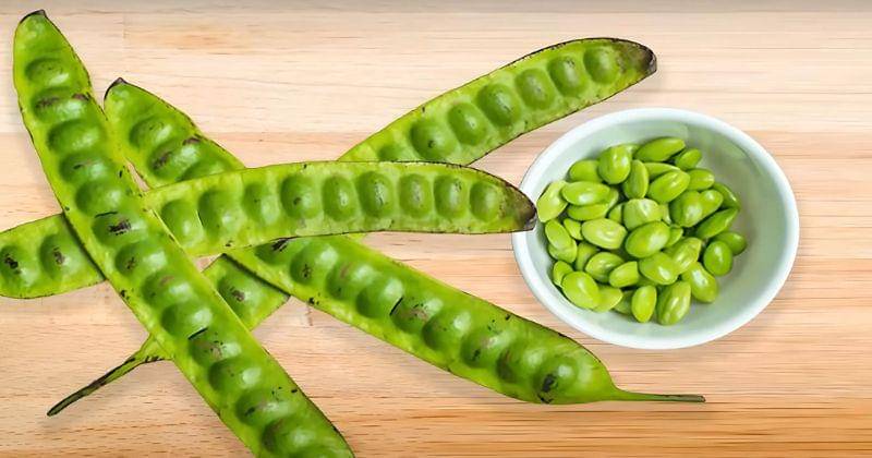 Youtube.com/SaddamIsmail