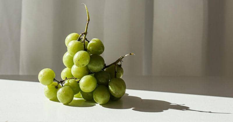 Pexels/Cup of Couple