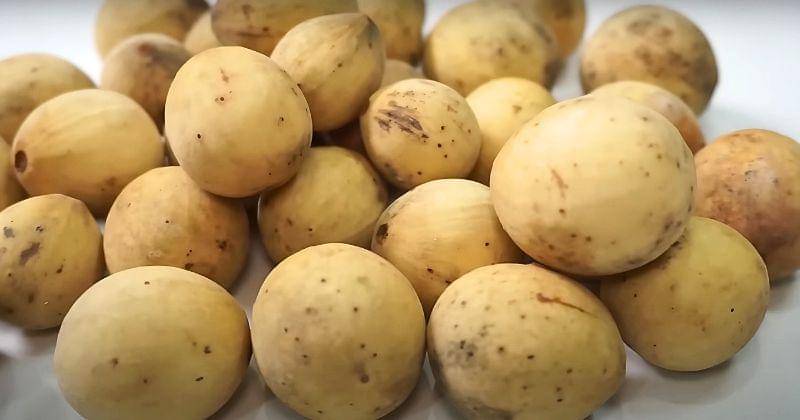 Youtube.com/KunciSehat