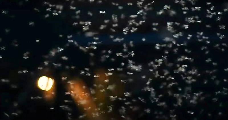 Youtube.com/lenteraalam