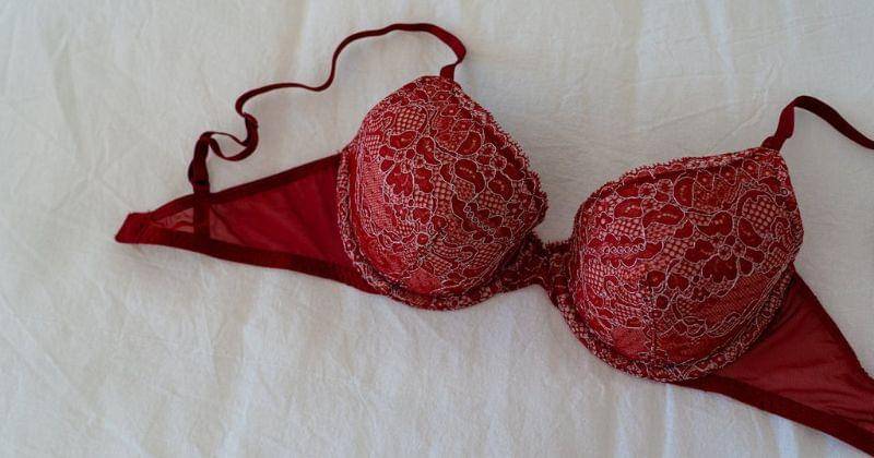 Pexels/Castorly Stock