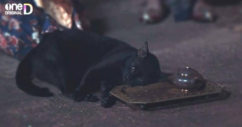 x.com/TifFaNy_9member