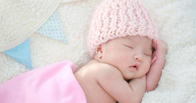 Freepik/studioredcup