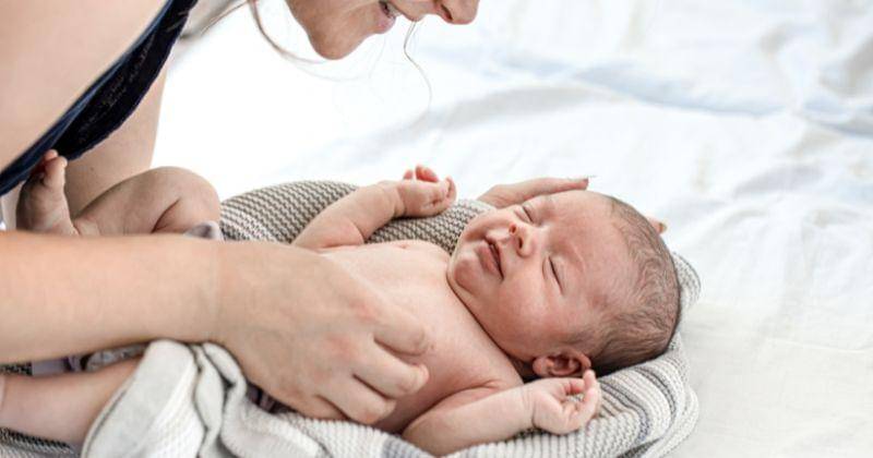 freepik/pvproductions