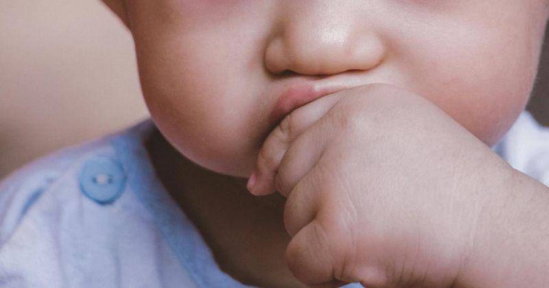 Pexels/NAM PHONG BÙI