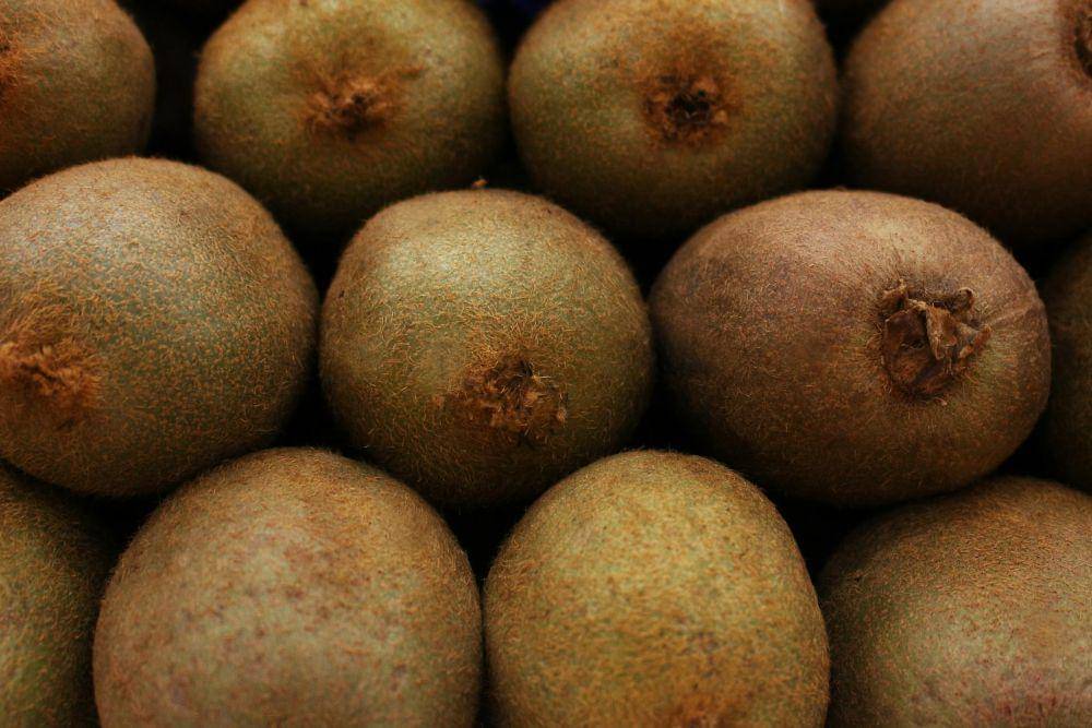 Kandungan Buah Kiwi untuk Kesehatan Ibu Hamil