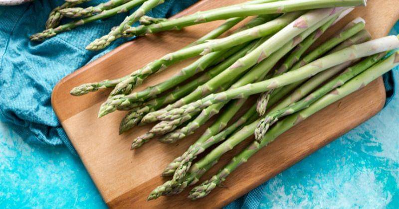 Unsplash/Christine Siracusa