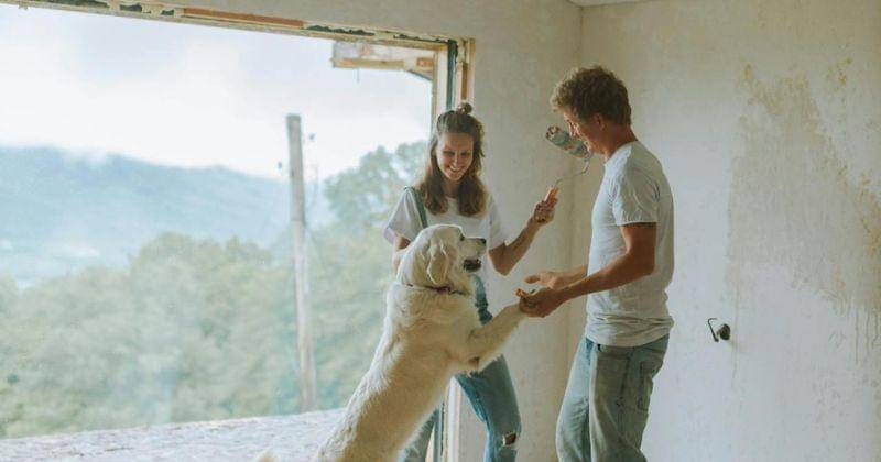 Pexels/Anastasia Shuraeva