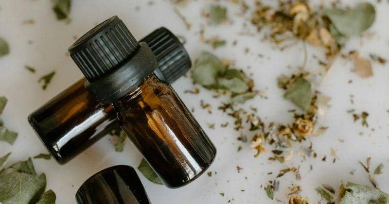 9 Rekomendasi Peppermint Oil untuk Hilangkan Mual saat Hamil