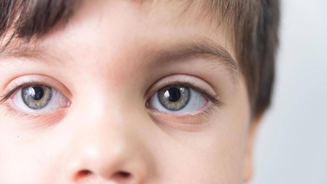 Freepik/Mateus Andreas